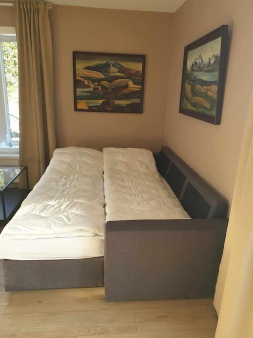 רייקהולט Greenhouse Golden Circle Villa מראה חיצוני תמונה